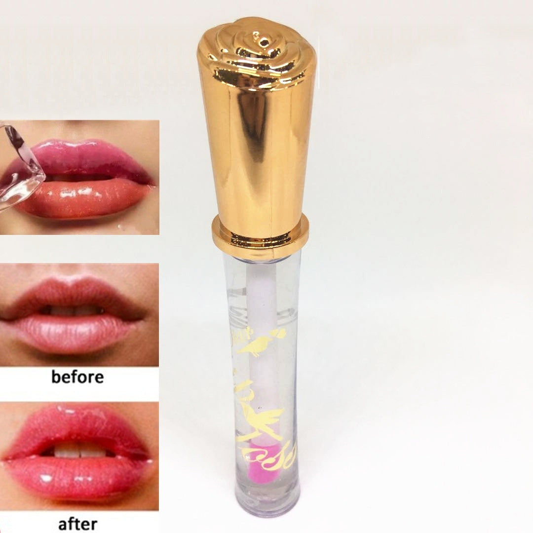 lip plumper lip gloss