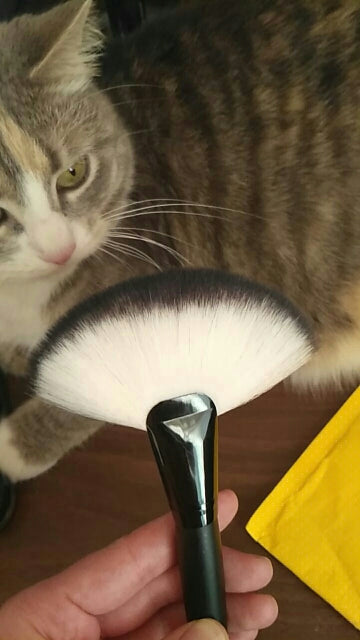 Soft Cosmetic Large Fan Brush Blush Powder Foundation Make Up Tool big Makeup brushes